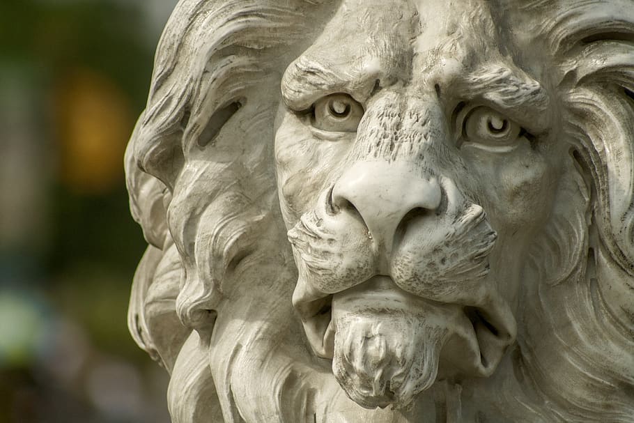 Selective Focus Photography of White Concrete Lion Statue, historic HD wallpaper