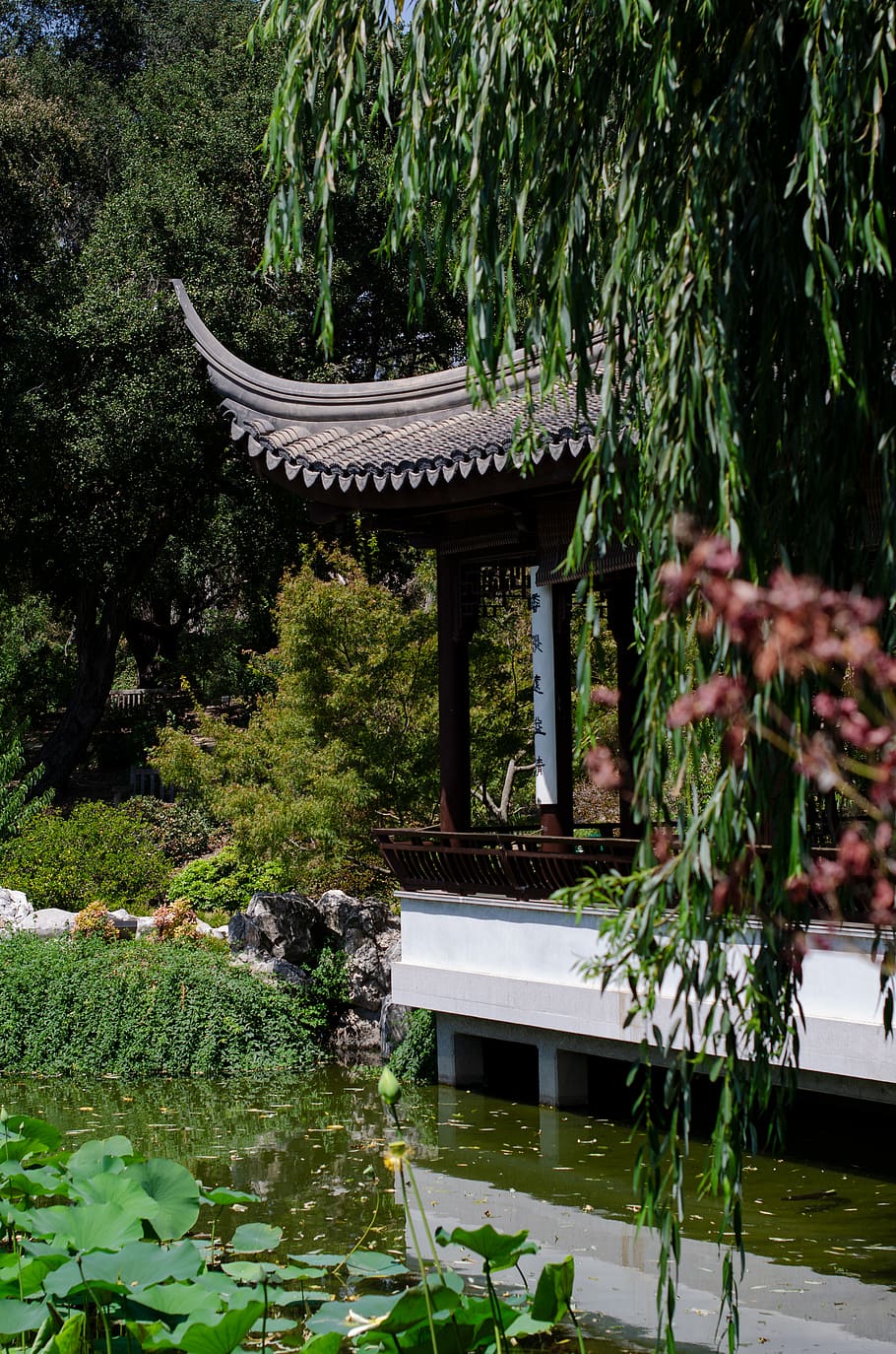 brown gazebo during daytim, plant, tree, built structure, architecture HD wallpaper