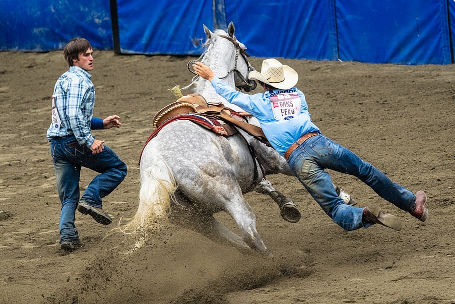 cowboy falling on horse, person, human, rodeo, clothing, apparel, HD wallpaper