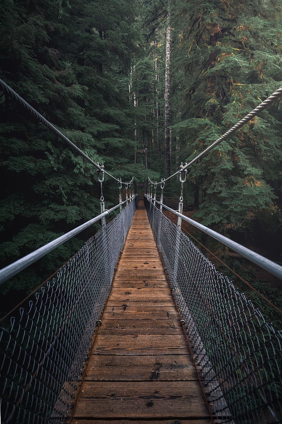 First Perspective Photography of Hanging Bridge, cables, daylight