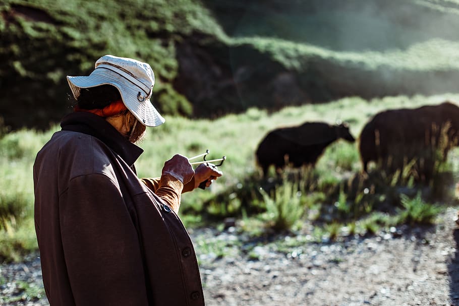 person using slingshot, human, people, china, yushu, mammal, black bear HD wallpaper