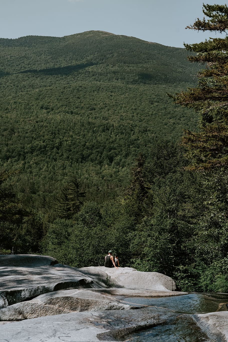 person sitting on mountain cliff overlooking green trees during daytime HD wallpaper
