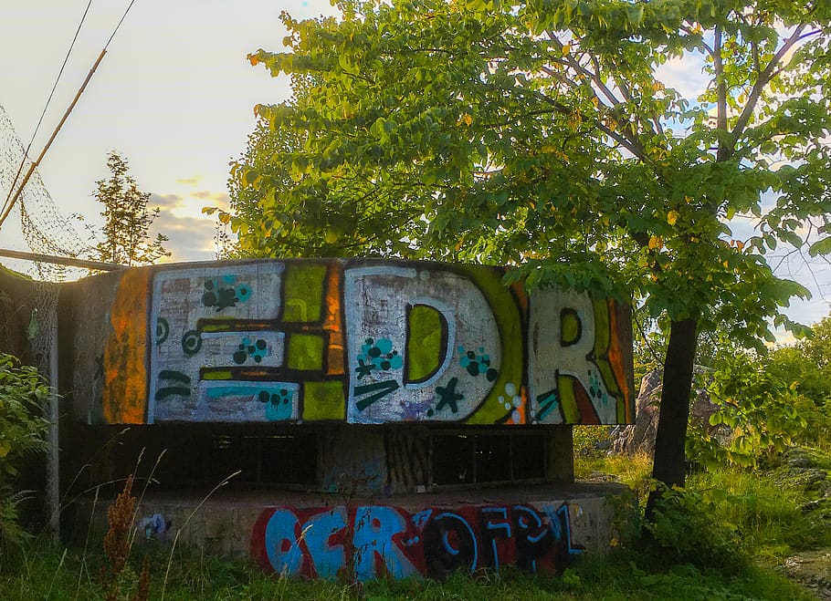 graffiti, tree, nature, city, colours, summer, sky, plant, communication HD wallpaper