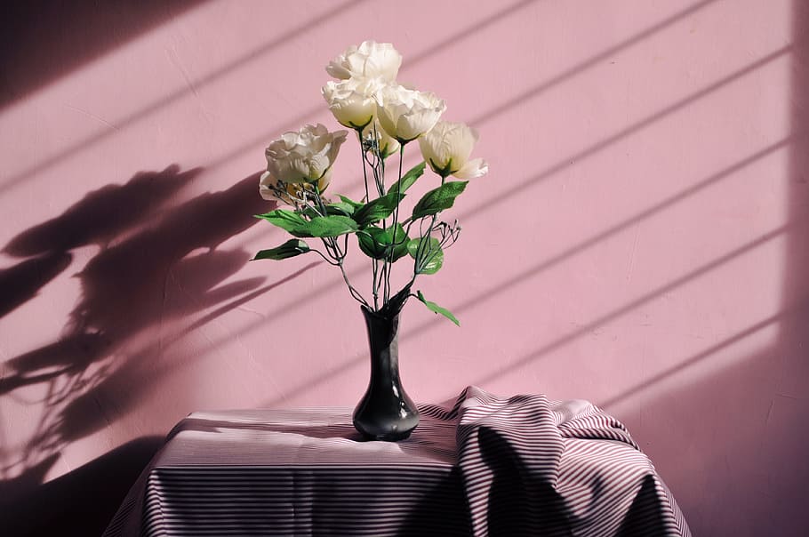 white artificial flowers in black vase, wall, tablecloth, floral HD wallpaper