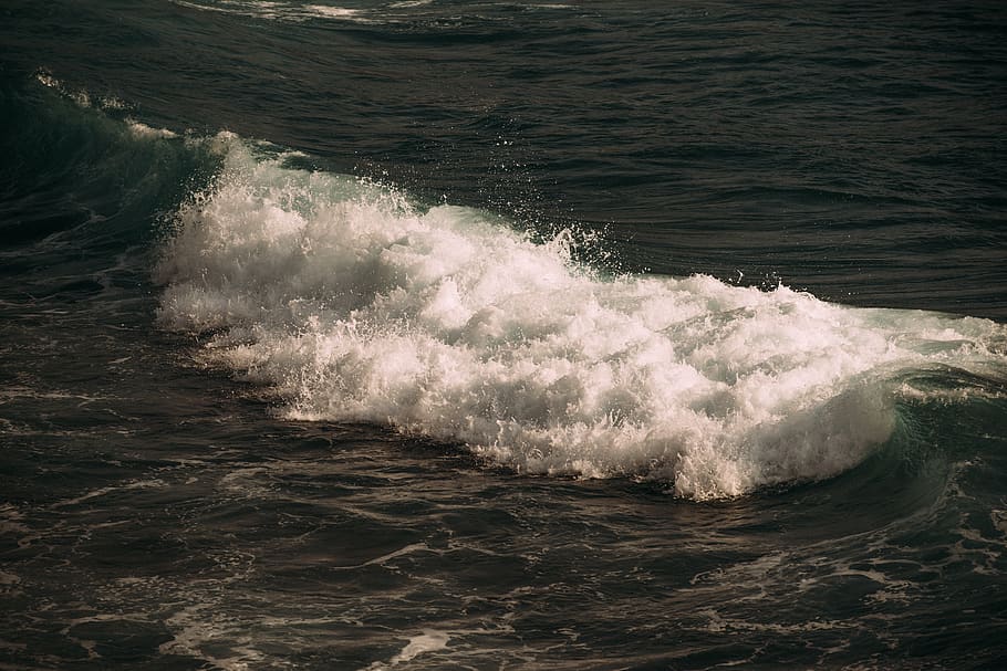ocean, sea, waves, water, motion, sport, aquatic sport, waterfront HD wallpaper