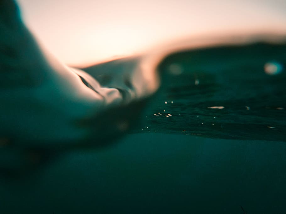 underwater, liquid, fluid, sea, ocean, closeup, macro, surface HD wallpaper