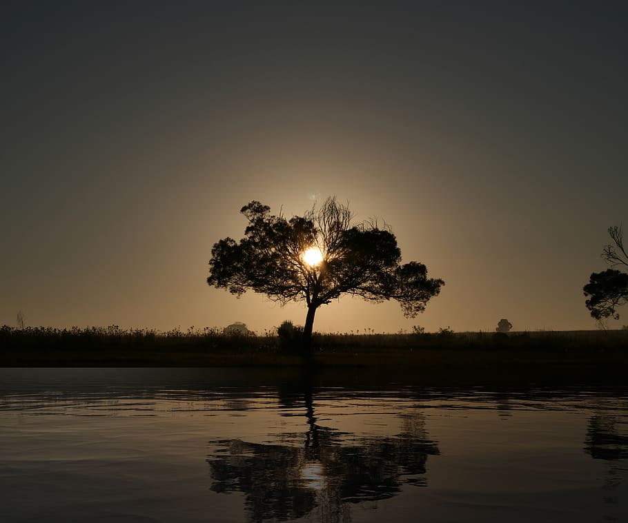 sunrise, tree, landscape, nature, dawn, outdoors, scenic, water HD wallpaper