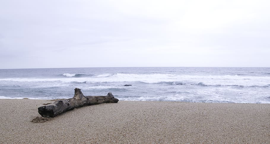 beach, sea, ocean, sand, log, waves, water, land, horizon over water HD wallpaper
