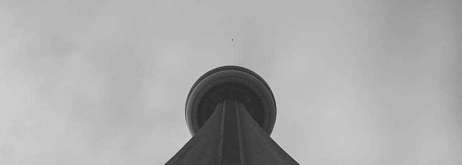toronto, cn tower, canada, bird, black and white, city, architecture HD wallpaper
