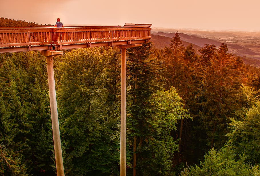 nature, catwalk, watch, web, architecture, bridge, away, railing HD wallpaper