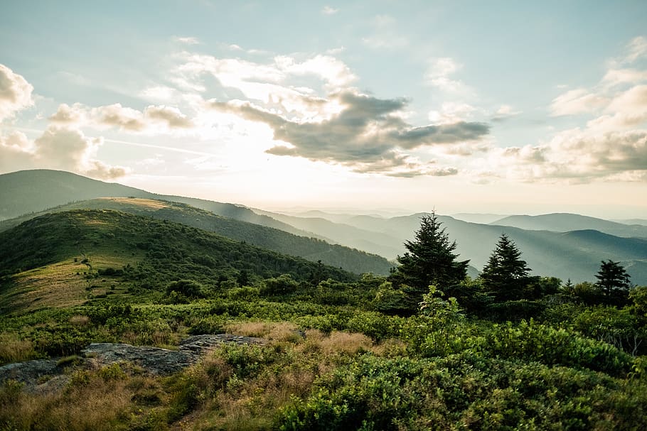 roan mountain, united states, forest, mountain tops, north carolina