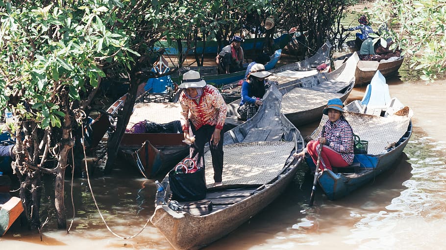 cambodia, phnom penh, tonle sap street, groves, swamp, asia HD wallpaper