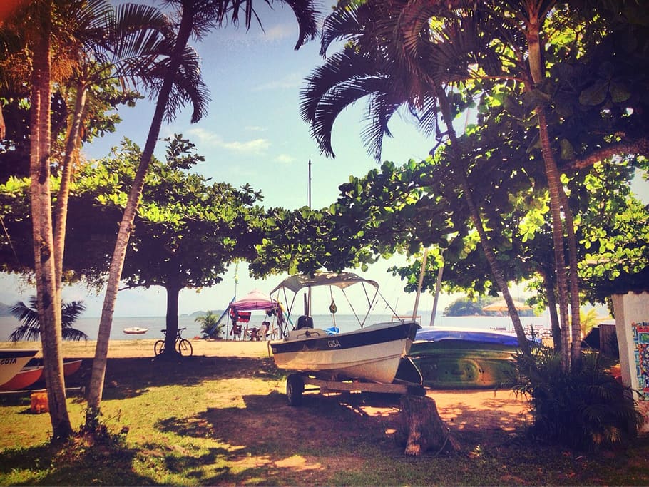brasil, paraty, tree, plant, mode of transportation, palm tree HD wallpaper