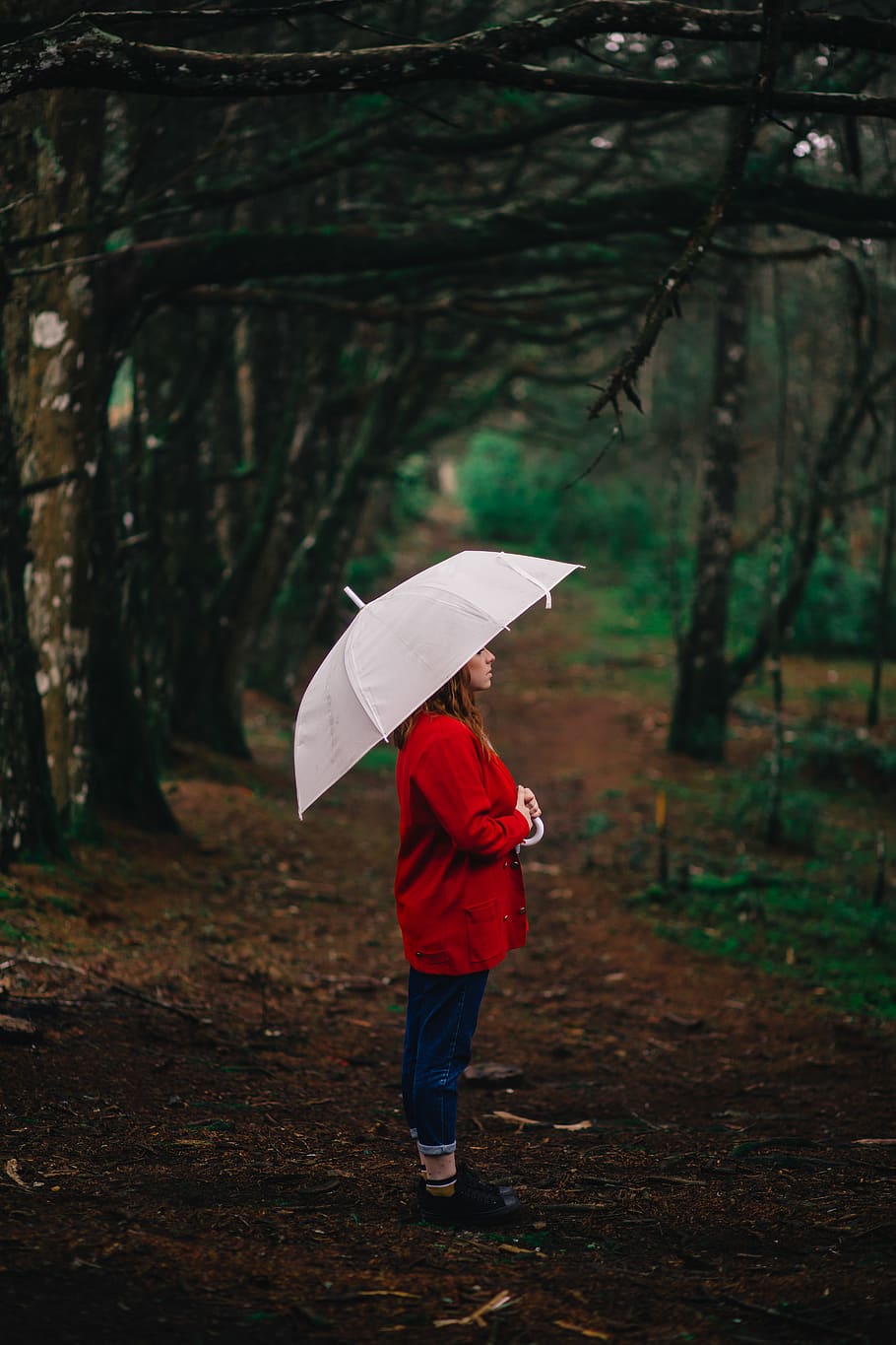 Woman Standing Beside Trees, daylight, landscape, pathway, rain HD wallpaper