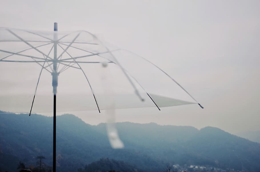 clear plastic umbrella, canopy, china, longjing village, hangzhou HD wallpaper