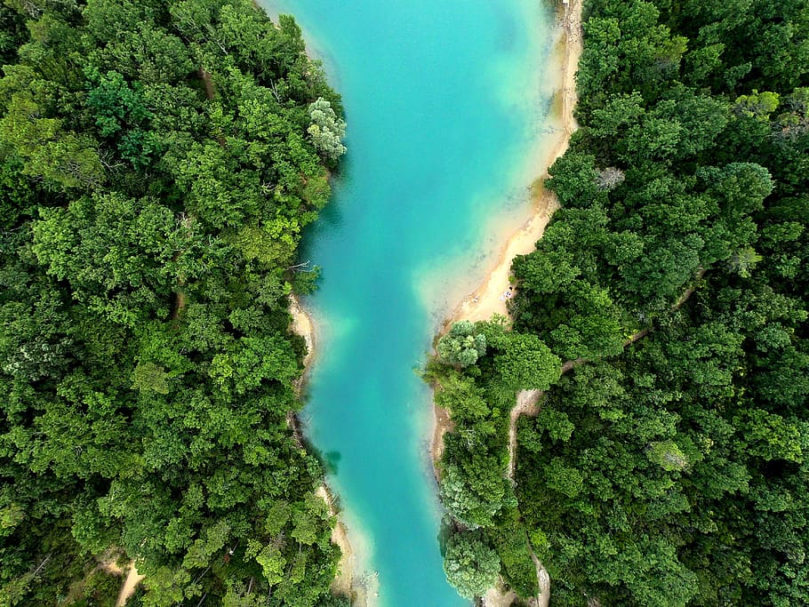 body of water between forest field, river, tree, topdown, aerial