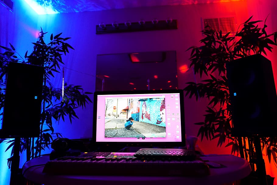 kids, art, tree, apple, fashion, workspace, technology, indoors HD wallpaper