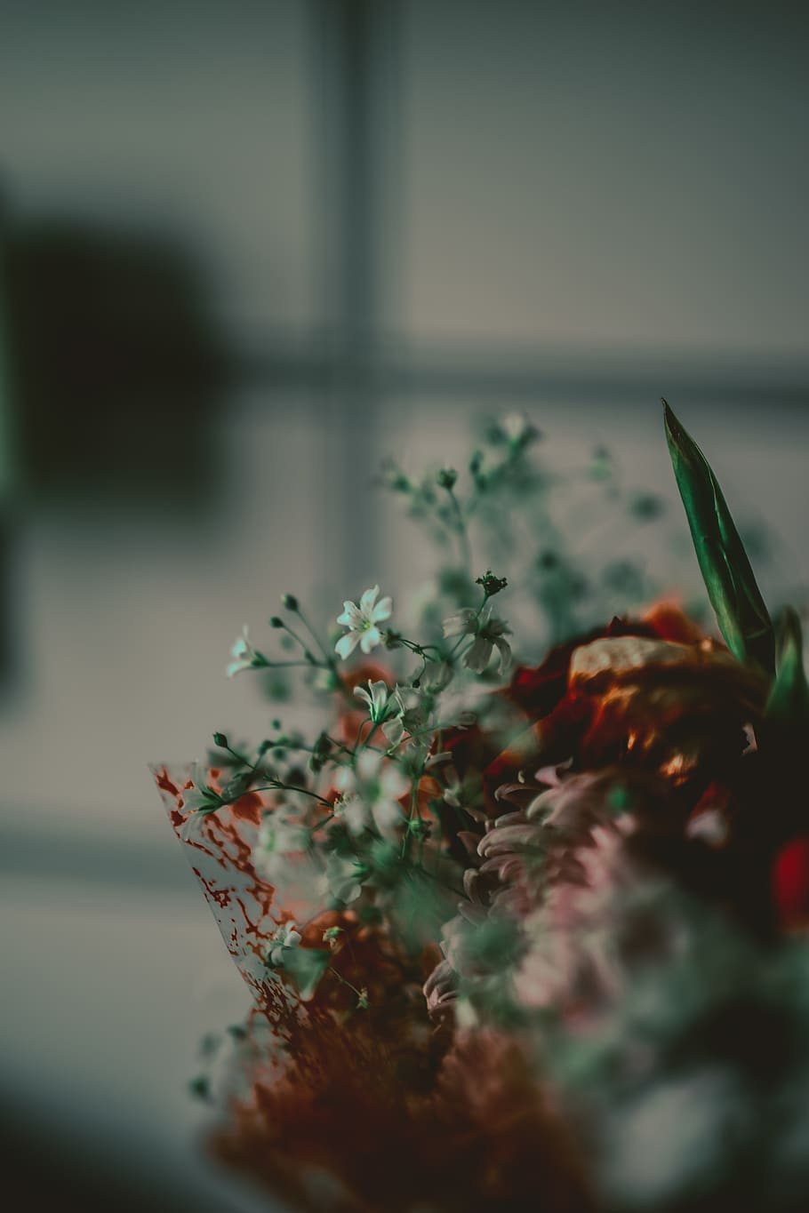 bokeh, white, kitchen, green, flower, plant, flowering plant HD wallpaper