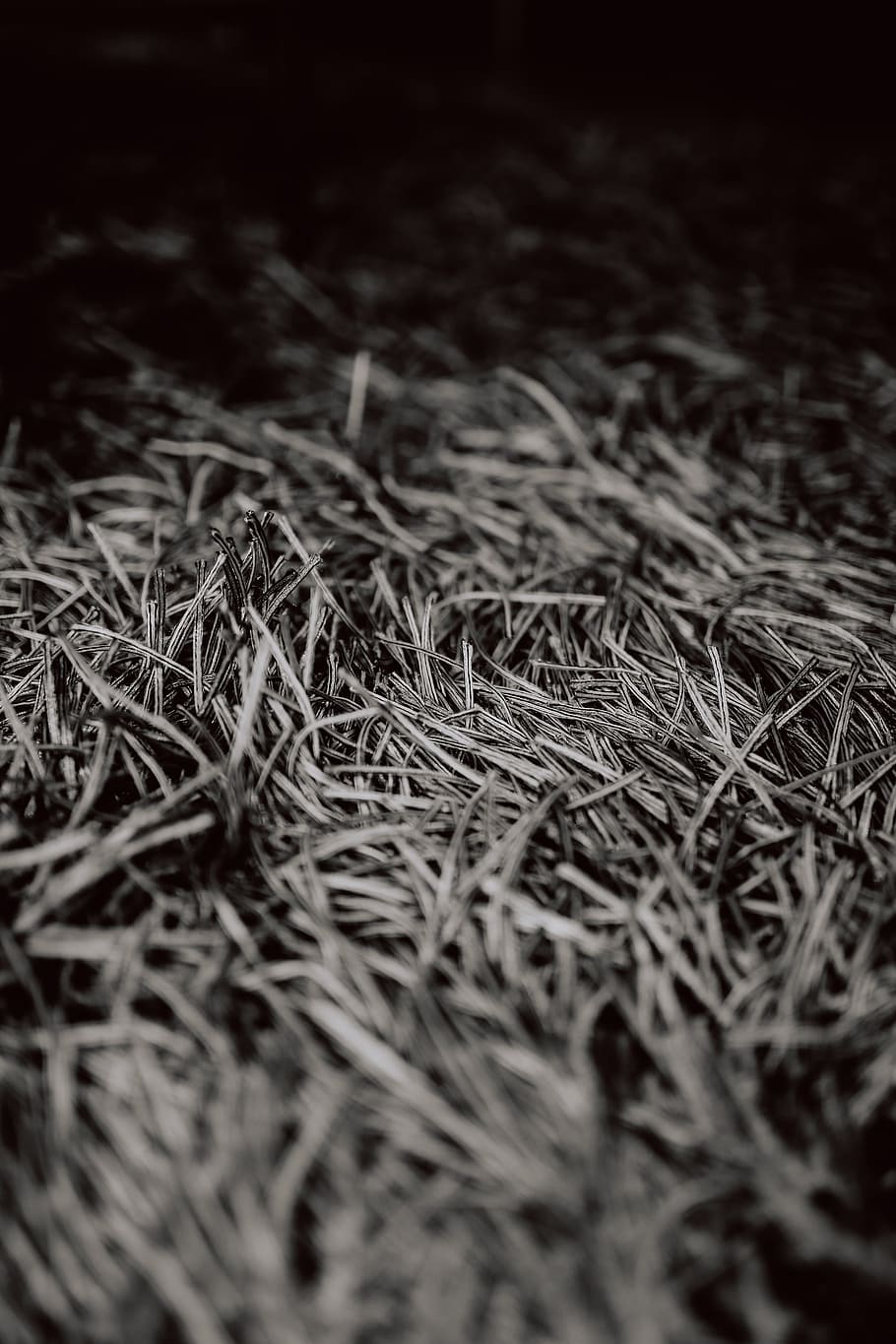 Grey rug texture closeup, carpet, selective focus, no people HD wallpaper