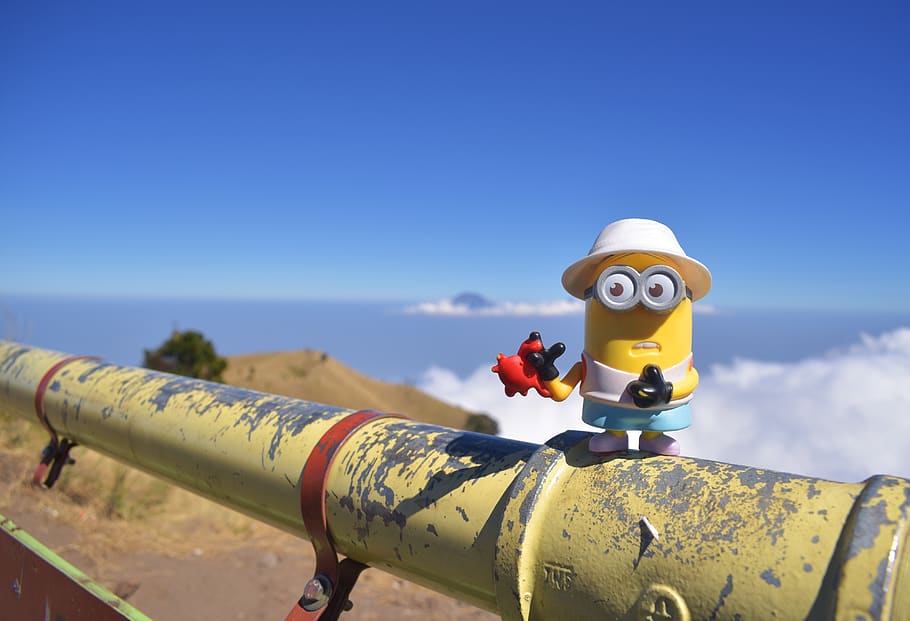 minion, summit, peak, top, mountain, merbabu, indonesia, outdoor HD wallpaper