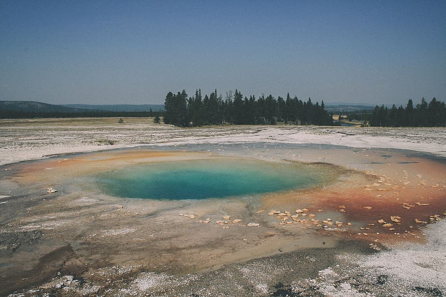 yellowstone, trees, vulcano, water, sky, scenics - nature, geyser HD wallpaper