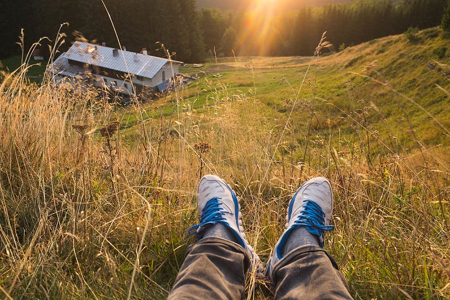 trees, summer, hut, relax, grass, green, x100s, low section HD wallpaper