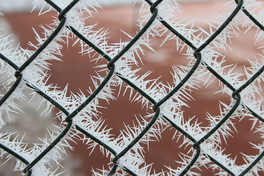 ripe, crystals, winter, wire fence, cold, frost, frozen, iced, HD wallpaper