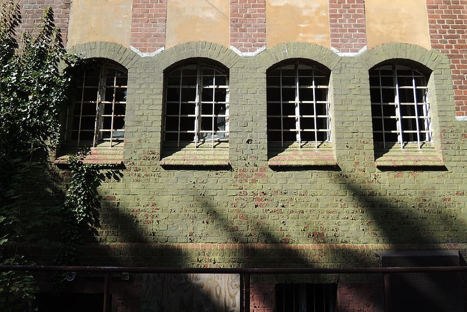 window with grills, ivy, flora, plant, brick, apartment building HD wallpaper