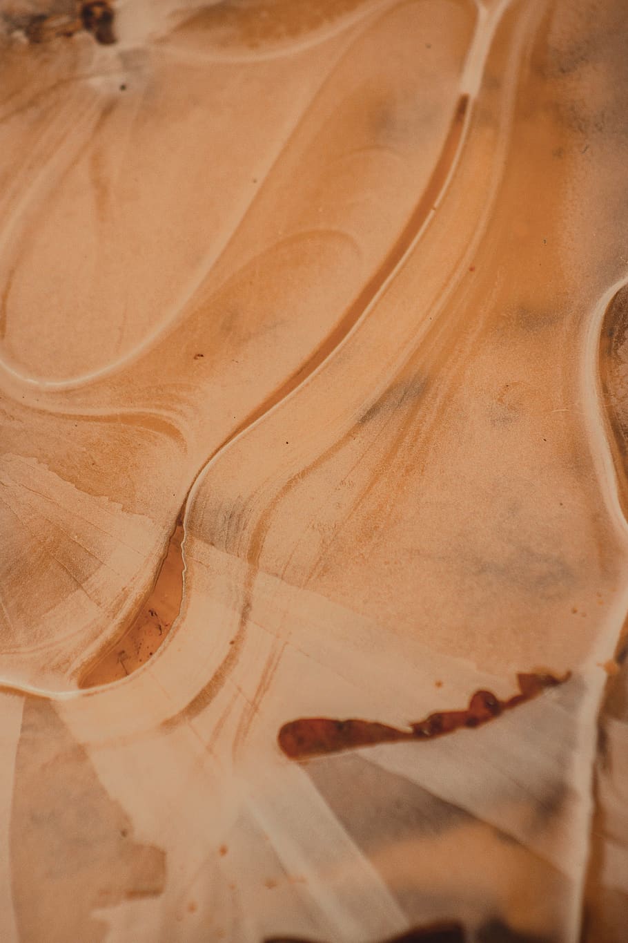 white and orange ceramic plate, full frame, pattern, no people HD wallpaper