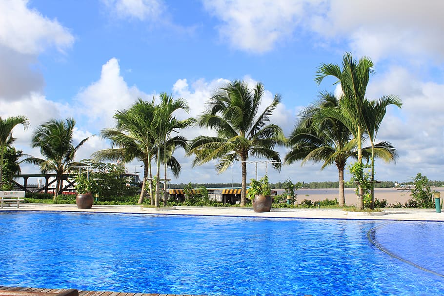 natural, blue, sky, coconut, swimming pool, holiday, tree, palm tree HD wallpaper
