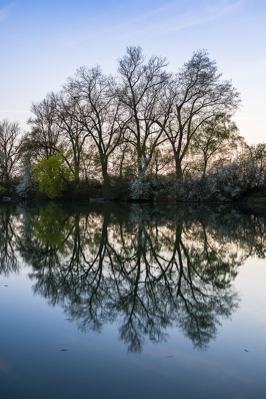 Landscape Photo of Tree on riverbed, beautiful, branch, environment HD wallpaper