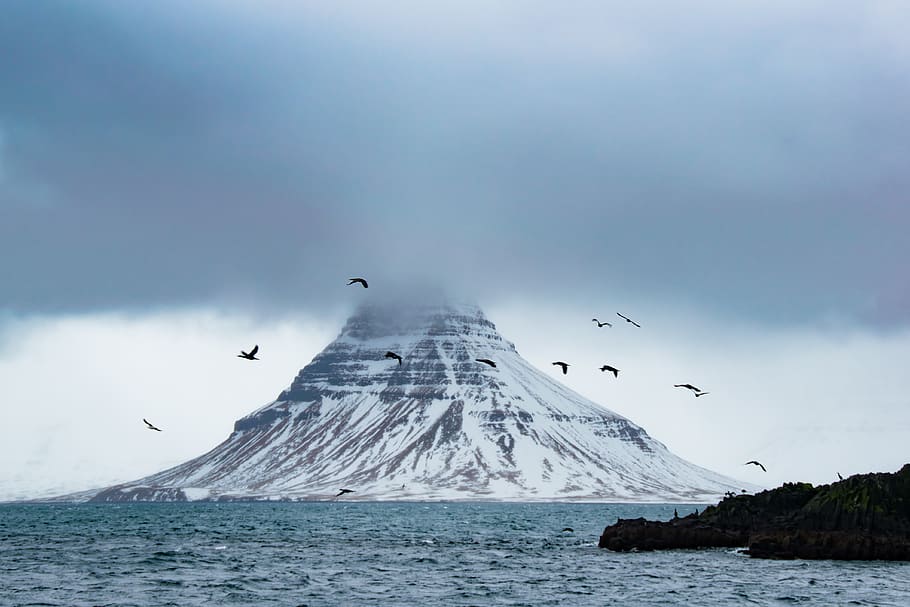Birds on Air Near Snow Covered Mountain Surrounded With Water HD wallpaper