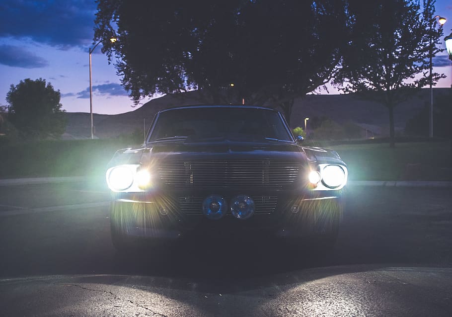 headlights, classic, car, mustang, 1967, muscle car, tree, motor vehicle HD wallpaper