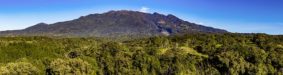 panama, boquete, hills, forest, rain forest, jungle, tropical, HD wallpaper