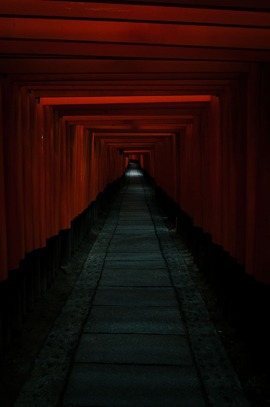 japan, kyōto-shi, fushimi inari taisha, red, kyoto, gate, torii, HD wallpaper