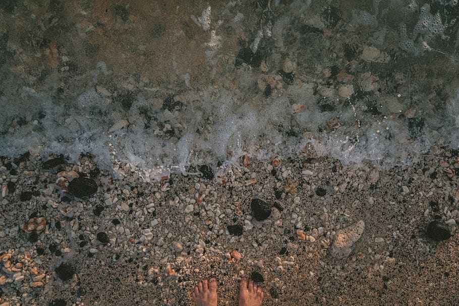 ocean, sea, seashells, beach, toes, feet, foot in the sand HD wallpaper