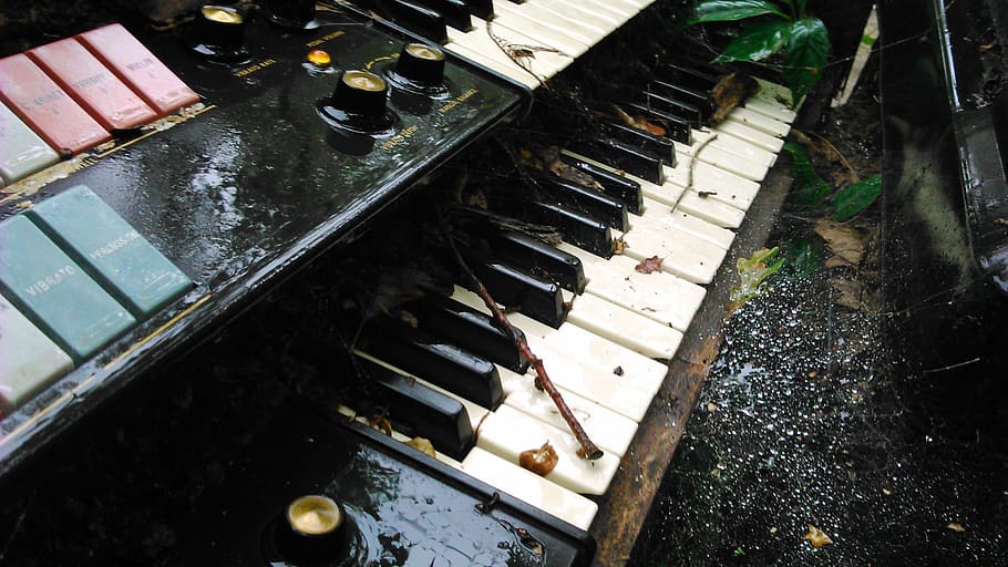 canada, winnipeg, rain, keys, cobweb, organ, keyboard, spiderweb