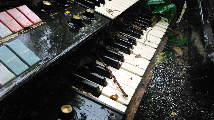 canada, winnipeg, rain, keys, cobweb, organ, keyboard, spiderweb HD wallpaper