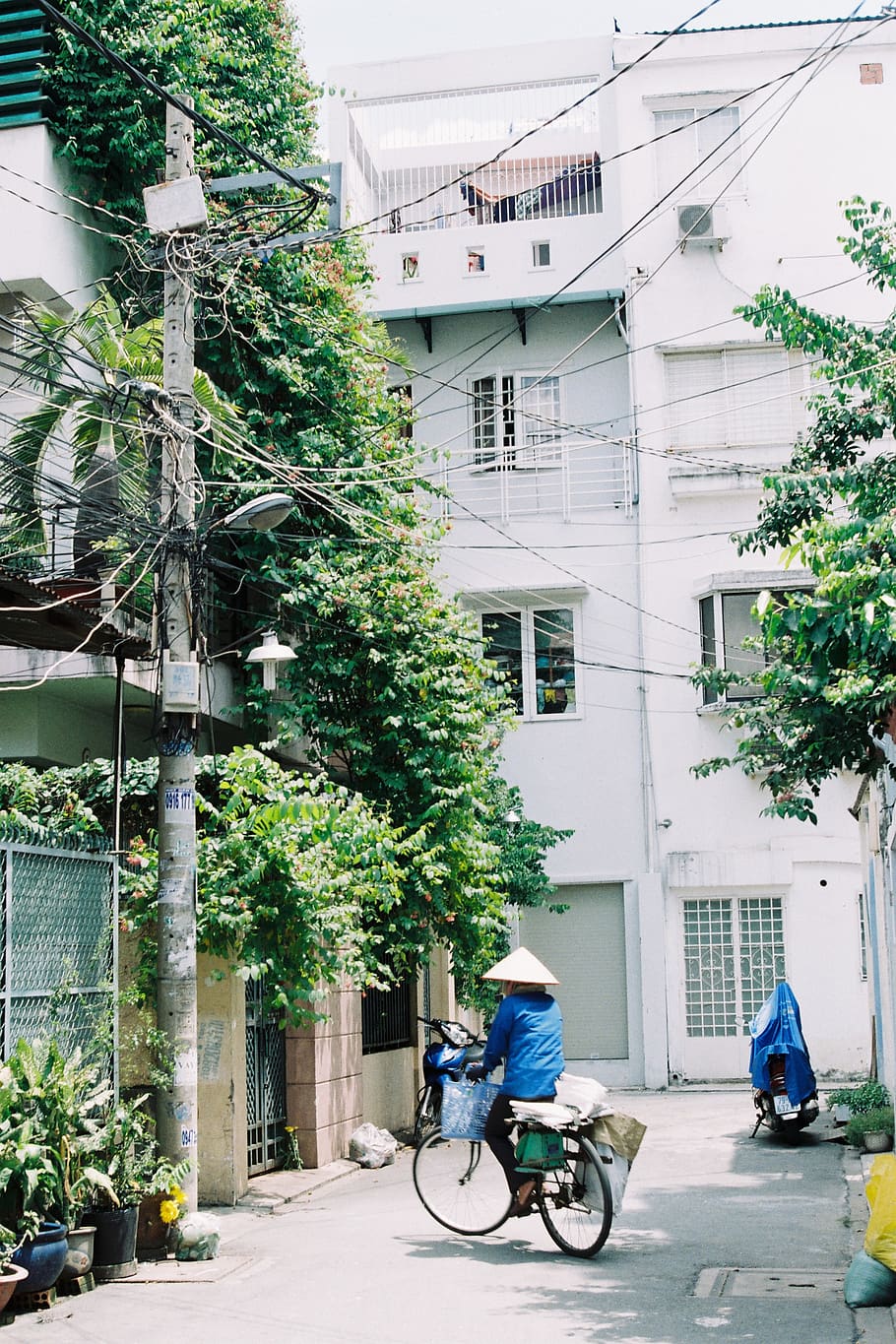 windows, tree, saigon, sunshine, day, building exterior, architecture HD wallpaper