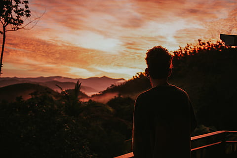 Man Standing Near Handrail, back view, dawn, environment, guy HD wallpaper