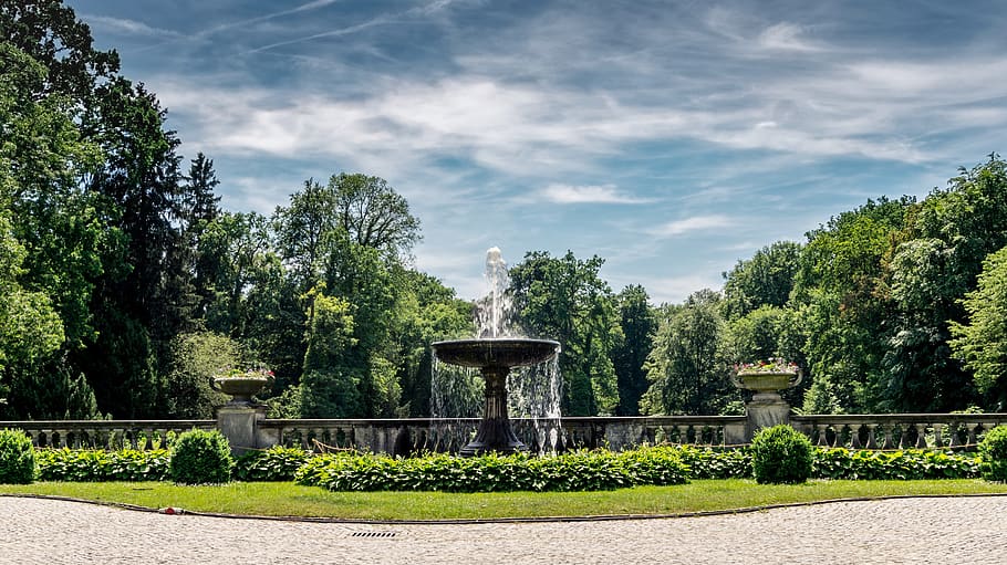 tree, summer, grass, nature, rush, fountain, plant, growth HD wallpaper