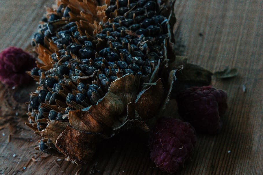 sunflower, seeds, raspberry, wood, berries, harvest, august HD wallpaper