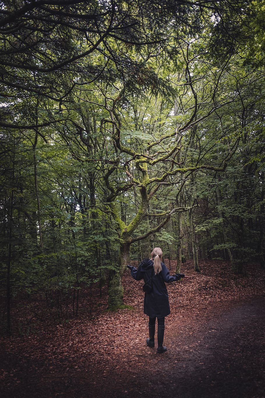 trees, forest, green, rains, girl, summer, blond, moss, road HD wallpaper