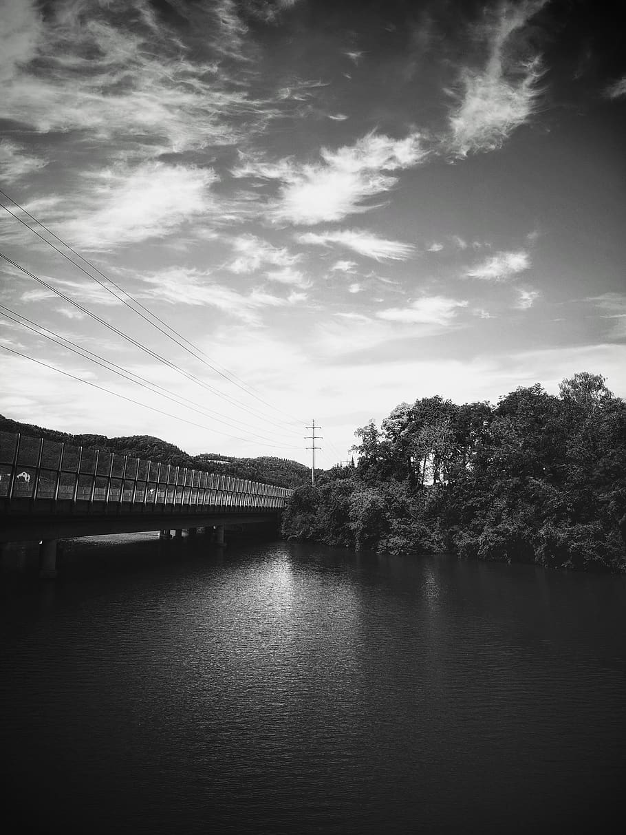 tree, perspective, bridge, sky, black and white, cloudscape HD wallpaper