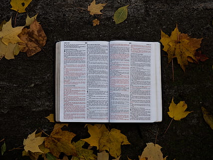 book on gray asphalt surface, christian, scripture, verse, bible HD wallpaper