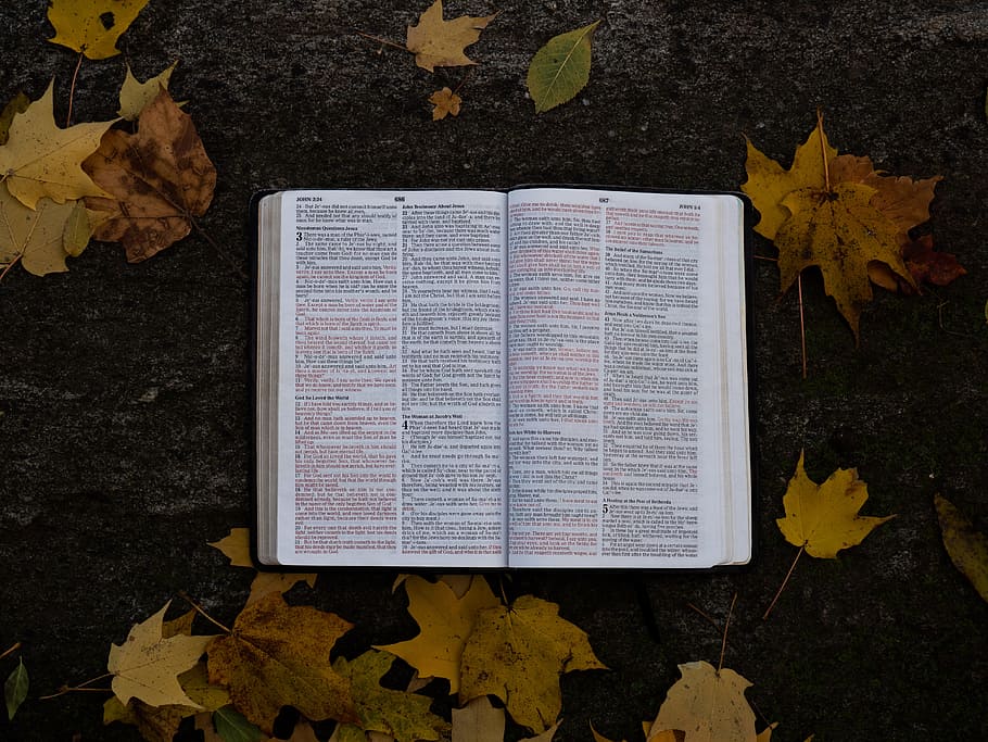 book on gray asphalt surface, christian, scripture, verse, bible HD wallpaper
