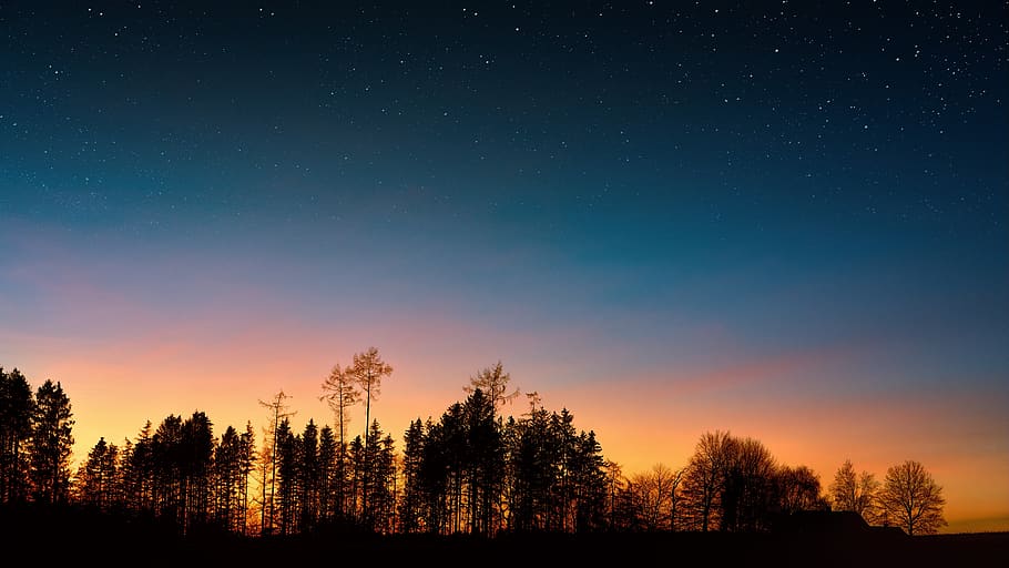 night, sky, trees, forest, blue, clouds, star, starry sky, weather, HD wallpaper