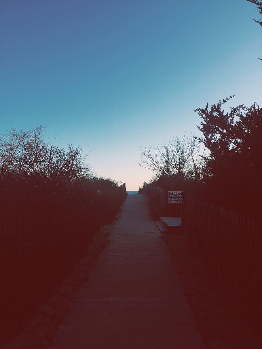 path, beach, tree, sky, plant, nature, transportation, direction HD wallpaper