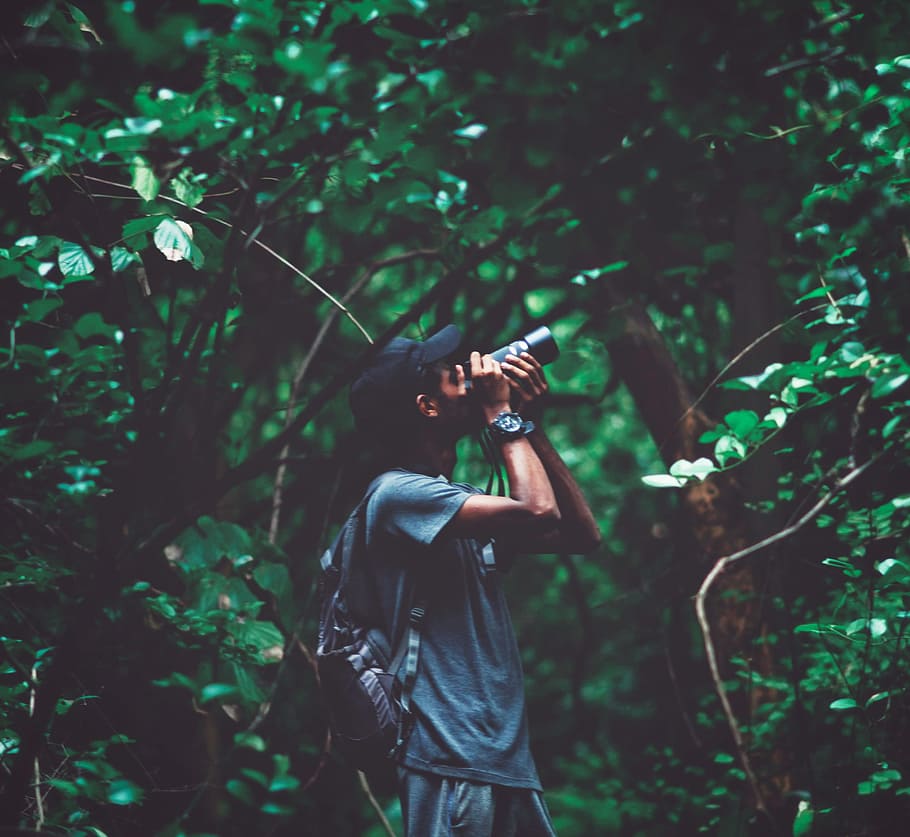 Man Standing Near Tree Taking Photo, adult, adventure, backpack HD wallpaper