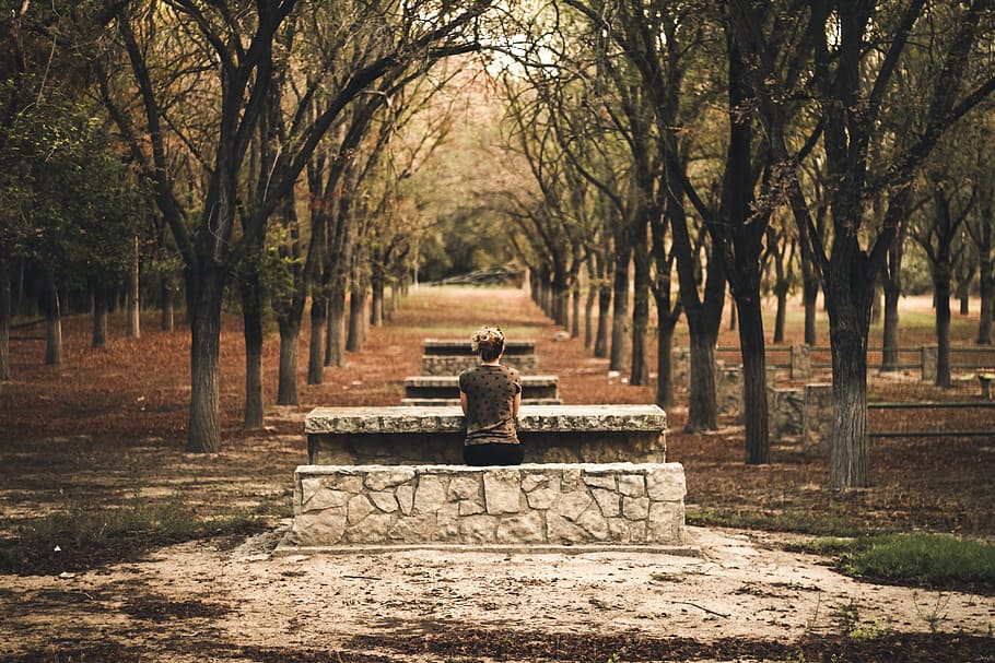 Person Sitting on Stone Bench, benches, colors, daylight, grass HD wallpaper